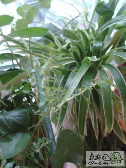 2012-09-19 17.36.25.jpg