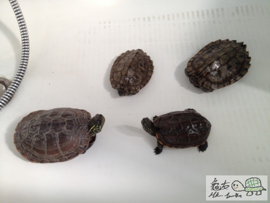 2012-09-16 15.20.27 (640x480).jpg