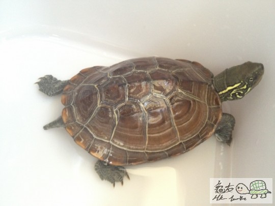 2012-09-17 13.55.59 (640x480).jpg