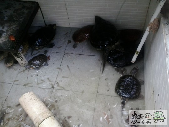 2012-10-01 14.20.54.jpg