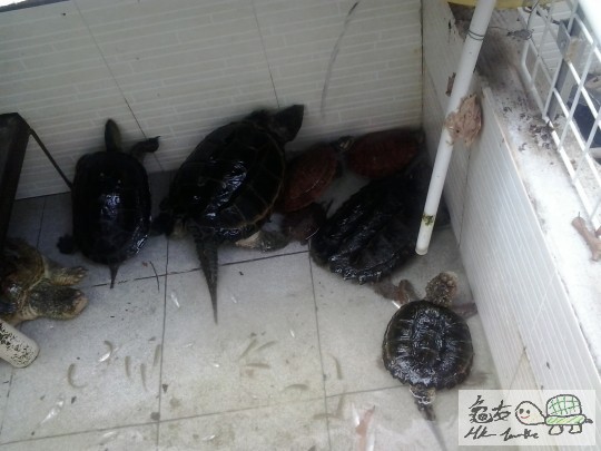 2012-10-01 14.21.06.jpg