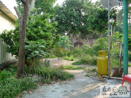 盾臂家園,請搵出龜龜位置