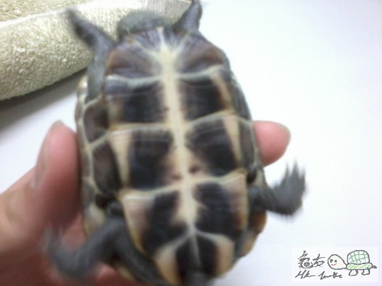 2012-10-03 22.24.47.jpg