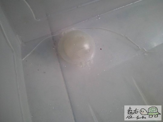 調整大小2012-10-09 10.21.56.jpg