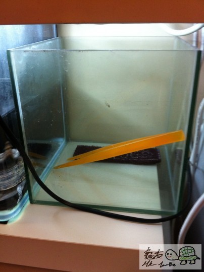 魚缸a.jpg