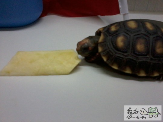 2012-10-31 21.30.11.jpg