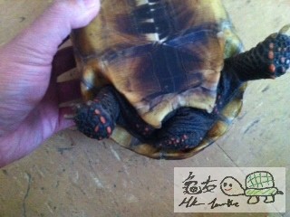 Attachment-1 (1).jpg