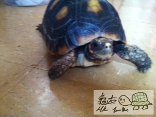 Attachment-1 (2).jpg