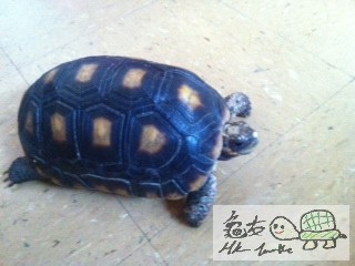 Attachment-1 (3).jpg