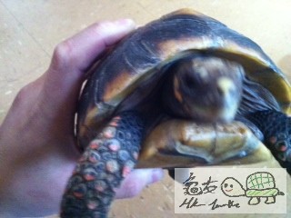 Attachment-1 (4).jpg