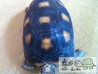 Attachment-1 (5).jpg