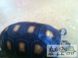 Attachment-1 (6).jpg