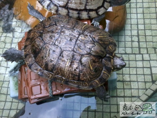 2012-12-08 14.24.51.jpg