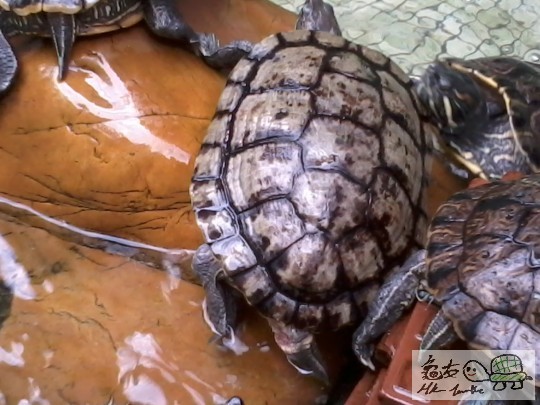 2012-12-08 14.27.35.jpg