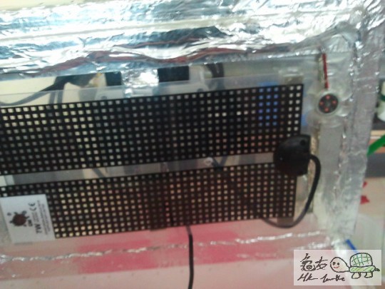 2012-12-11 08.08.04.jpg