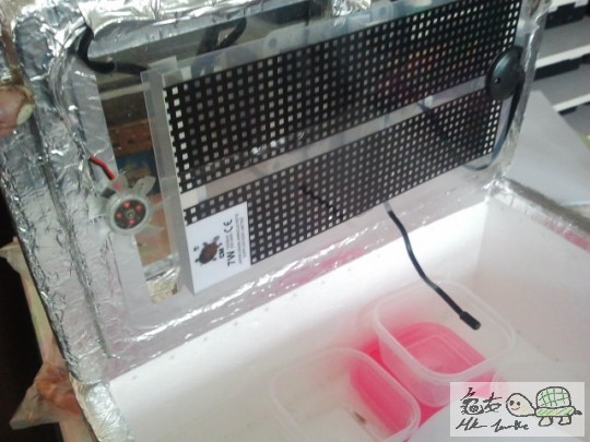 2012-12-11 08.07.24.jpg