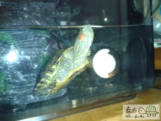 2012-12-17 22.25.36.jpg