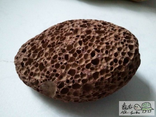 調整大小2012-12-19 11.20.29.jpg