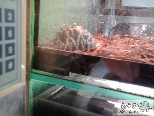 2012-12-30 18.41.50.jpg