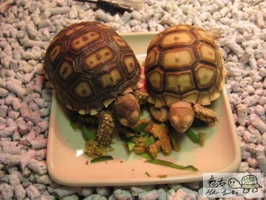 照片 1804468523.jpg