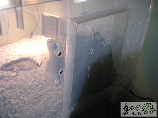 照片 1804468527.jpg