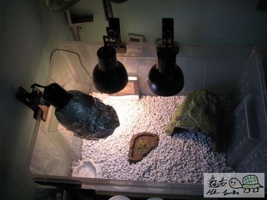 照片 1804468526.jpg