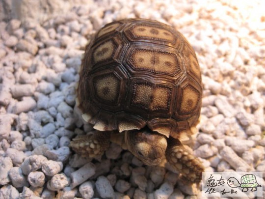 照片 1804468531.jpg