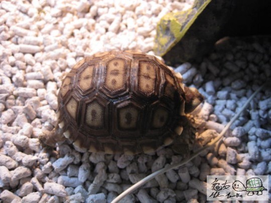 照片 1804468532.jpg