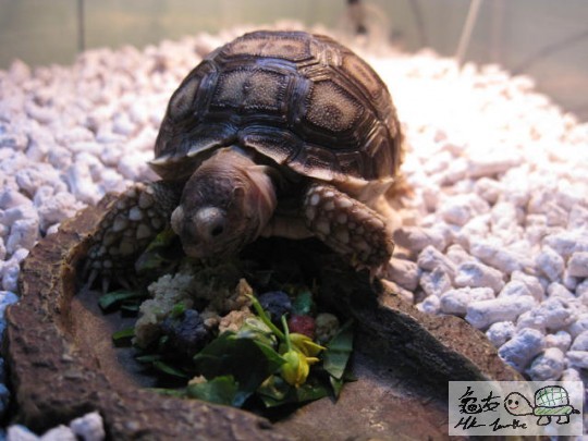 照片 1804468537.jpg