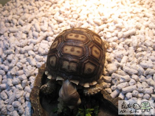 照片 1804468536.jpg