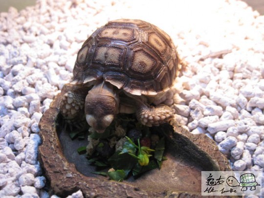 照片 1804468535.jpg