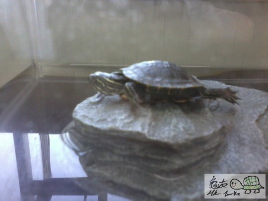 2013-01-13 15.42.29.jpg