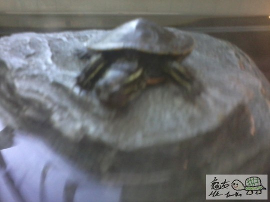 2013-01-13 15.42.11.jpg