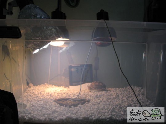 照片 1804468539.jpg