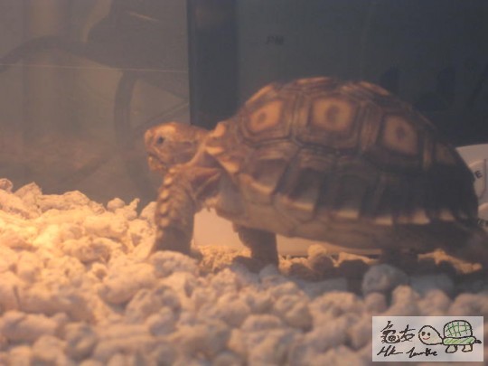 照片 1804468538.jpg