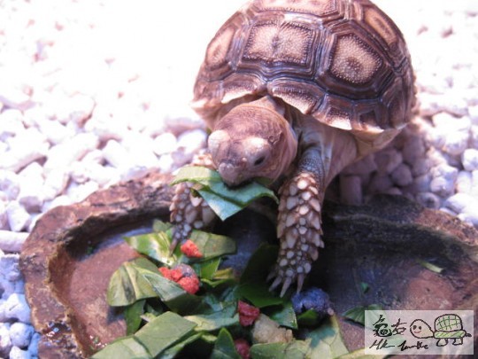 照片 1804468542.jpg