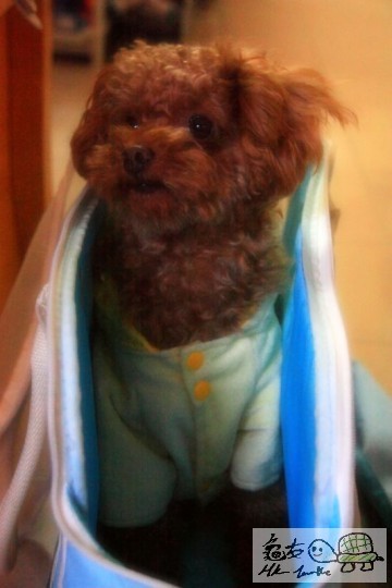 條頸好似好長咁