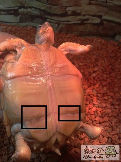 2013-02-04 15.06.20.jpg