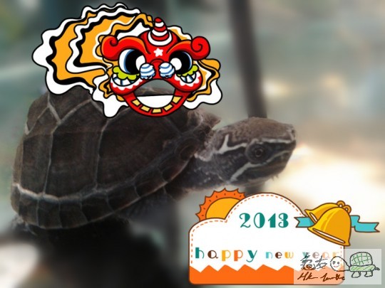 2013-02-09 12.59.41_副本.jpg