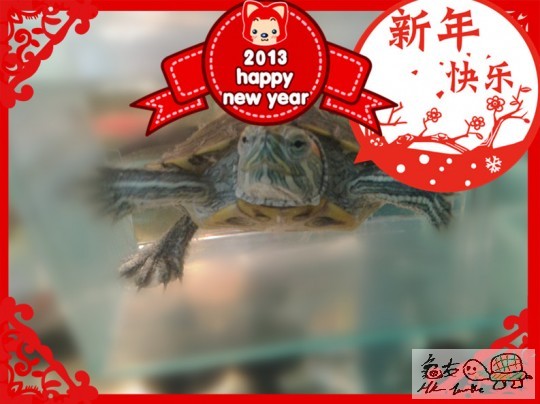 2013-02-09 12.59.54_副本.jpg