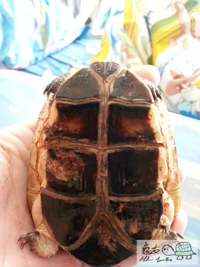 20130310_122922.jpg