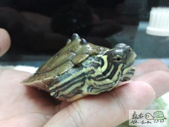 2013-04-20 22.36.15.jpg