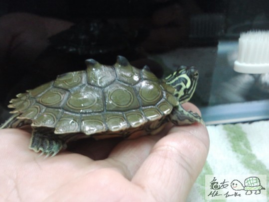 2013-04-20 22.36.33.jpg