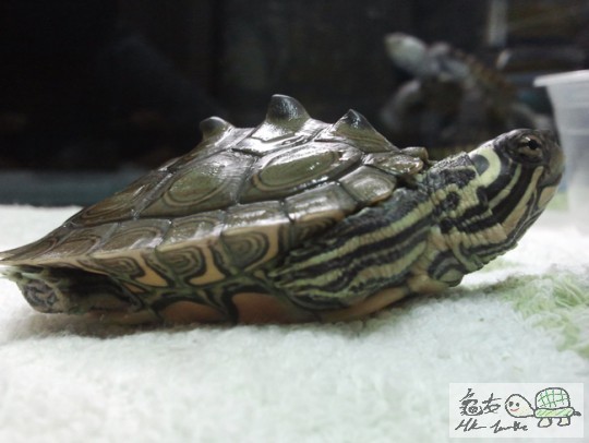 2013-04-20 22.41.25.jpg