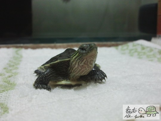 2013-05-06 22.52.00.jpg