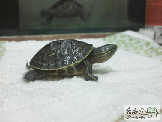 2013-05-06 22.52.09.jpg