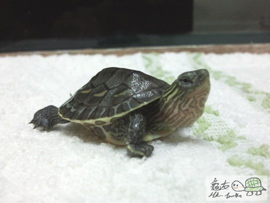 2013-05-06 22.52.26.jpg