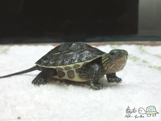 2013-05-06 22.54.13.jpg