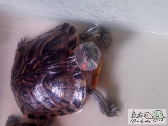 比人影左都唔知