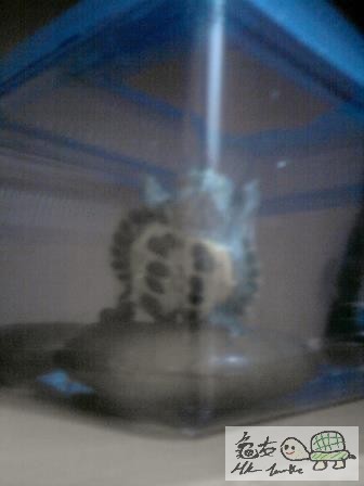 P130513_23.50 - 複製.jpg